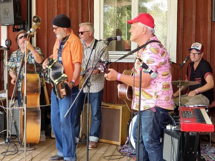Bild på bandet Wild Rob & The Hillbilly Cats